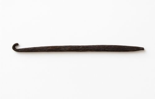 VANILKOVÝ LUSK, MADAGASKAR, délka 14-16 cm, MIMOŘÁDNÁ NABÍDKA